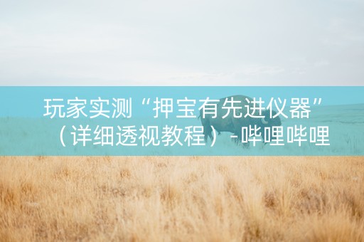 玩家实测“押宝有先进仪器”（详细透视教程）-哔哩哔哩
