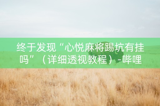 终于发现“心悦麻将踢坑有挂吗”（详细透视教程）-哔哩哔哩