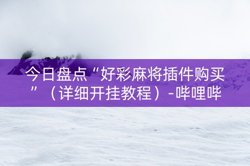 今日盘点“好彩麻将插件购买”（详细开挂教程）-哔哩哔哩