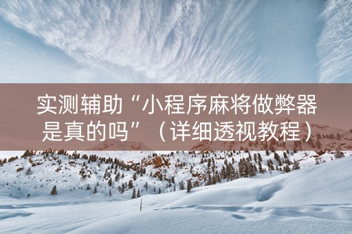 实测辅助“小程序麻将做弊器是真的吗”（详细透视教程）-哔哩哔哩