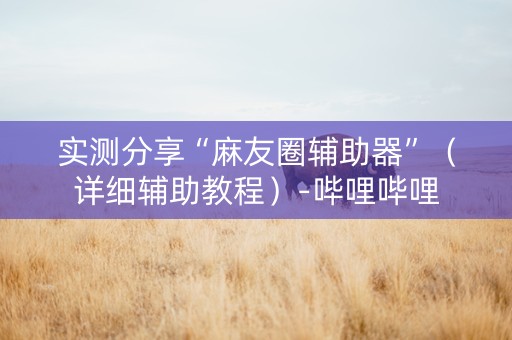 实测分享“麻友圈辅助器”（详细辅助教程）-哔哩哔哩