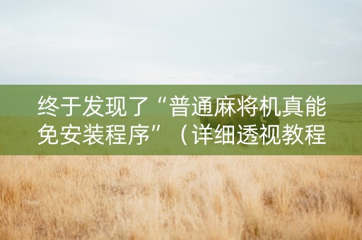 终于发现了“普通麻将机真能免安装程序”（详细透视教程）-哔哩哔哩