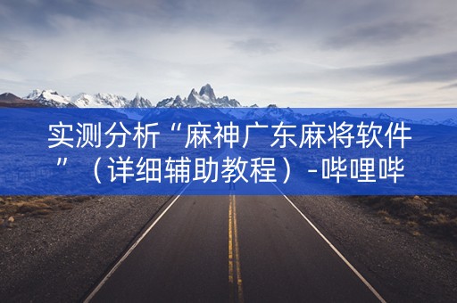 实测分析“麻神广东麻将软件”（详细辅助教程）-哔哩哔哩