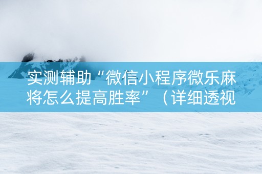 实测辅助“微信小程序微乐麻将怎么提高胜率”（详细透视教程）-哔哩哔哩