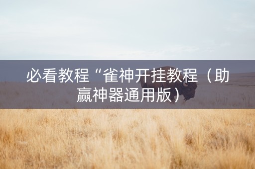 必看教程“雀神开挂教程（助赢神器通用版）