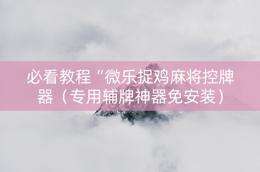必看教程“微乐捉鸡麻将控牌器（专用辅牌神器免安装）