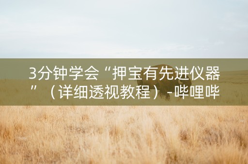 3分钟学会“押宝有先进仪器”（详细透视教程）-哔哩哔哩