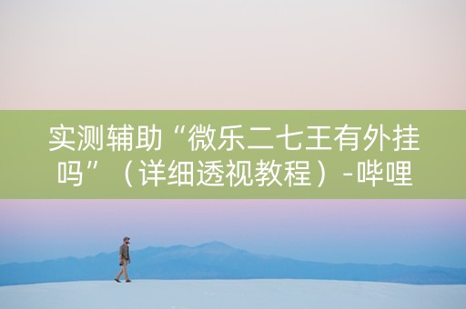 实测辅助“微乐二七王有外挂吗”（详细透视教程）-哔哩哔哩