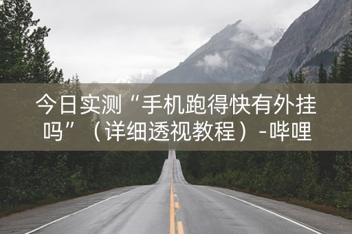 今日实测“手机跑得快有外挂吗”（详细透视教程）-哔哩哔哩