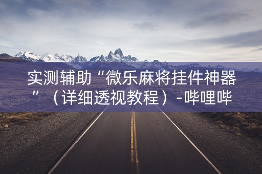 实测辅助“微乐麻将挂件神器”（详细透视教程）-哔哩哔哩