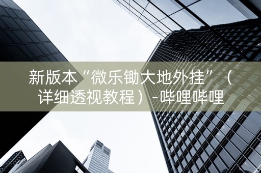 新版本“微乐锄大地外挂”（详细透视教程）-哔哩哔哩