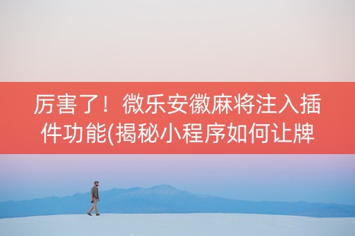 厉害了！微乐安徽麻将注入插件功能(揭秘小程序如何让牌变好)