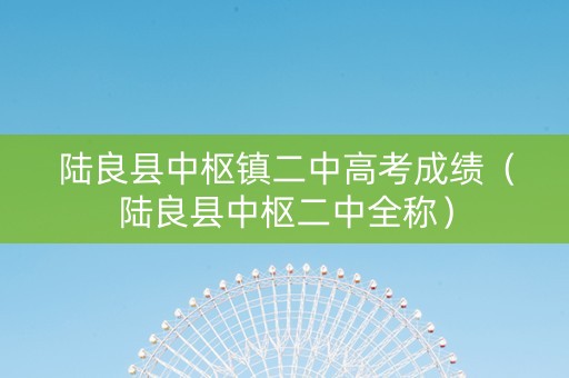 陆良县中枢镇二中高考成绩（陆良县中枢二中全称）