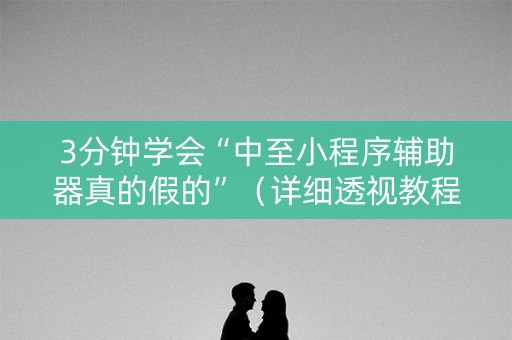 3分钟学会“中至小程序辅助器真的假的”（详细透视教程）-哔哩哔哩