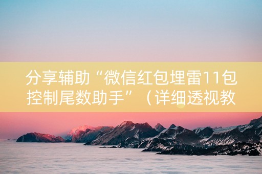 分享辅助“微信红包埋雷11包控制尾数助手”（详细透视教程）-哔哩哔哩