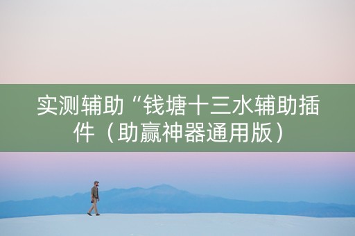 实测辅助“钱塘十三水辅助插件（助赢神器通用版）