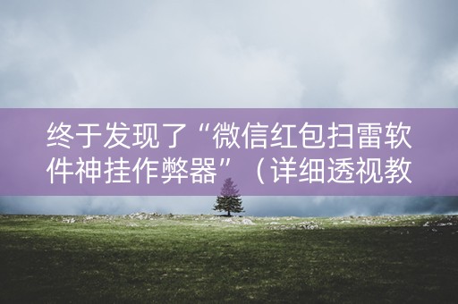 终于发现了“微信红包扫雷软件神挂作弊器”（详细透视教程）-哔哩哔哩