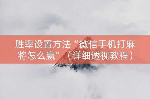 胜率设置方法“微信手机打麻将怎么赢”（详细透视教程）-哔哩哔哩