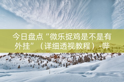 今日盘点“微乐捉鸡是不是有外挂”（详细透视教程）-哔哩哔哩
