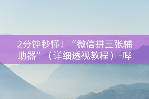 2分钟秒懂！“微信拼三张辅助器”（详细透视教程）-哔哩哔哩