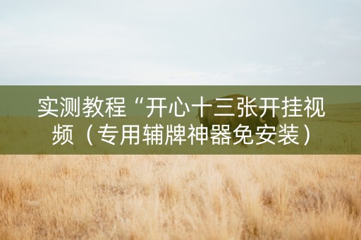 实测教程“开心十三张开挂视频（专用辅牌神器免安装）