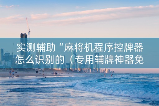 实测辅助“麻将机程序控牌器怎么识别的（专用辅牌神器免安装）