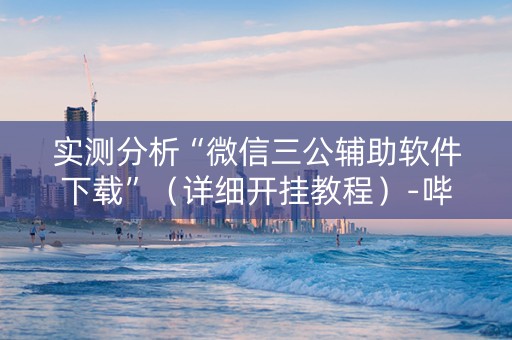 实测分析“微信三公辅助软件下载”（详细开挂教程）-哔哩哔哩