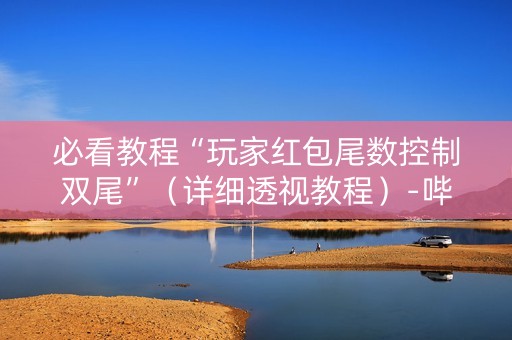 必看教程“玩家红包尾数控制双尾”（详细透视教程）-哔哩哔哩