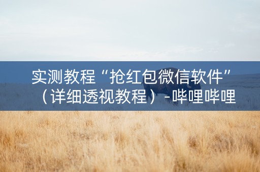实测教程“抢红包微信软件”（详细透视教程）-哔哩哔哩
