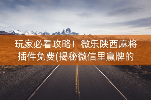 玩家必看攻略！微乐陕西麻将插件免费(揭秘微信里赢牌的技巧)