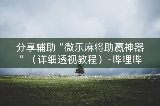 分享辅助“微乐麻将助赢神器”（详细透视教程）-哔哩哔哩
