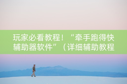 玩家必看教程！“牵手跑得快辅助器软件”（详细辅助教程）-哔哩哔哩