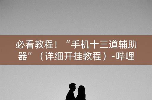 必看教程！“手机十三道辅助器”（详细开挂教程）-哔哩哔哩