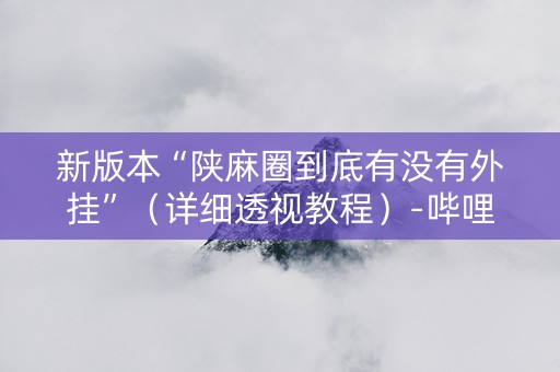 新版本“陕麻圈到底有没有外挂”（详细透视教程）-哔哩哔哩