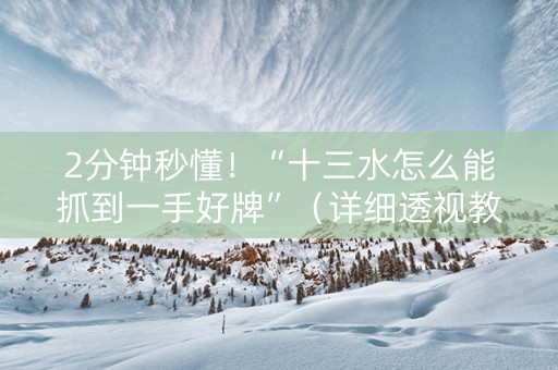 2分钟秒懂！“十三水怎么能抓到一手好牌”（详细透视教程）-哔哩哔哩