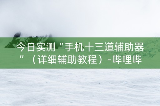 今日实测“手机十三道辅助器”（详细辅助教程）-哔哩哔哩