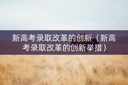 新高考录取改革的创新（新高考录取改革的创新举措）