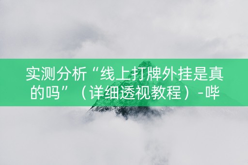 实测分析“线上打牌外挂是真的吗”（详细透视教程）-哔哩哔哩