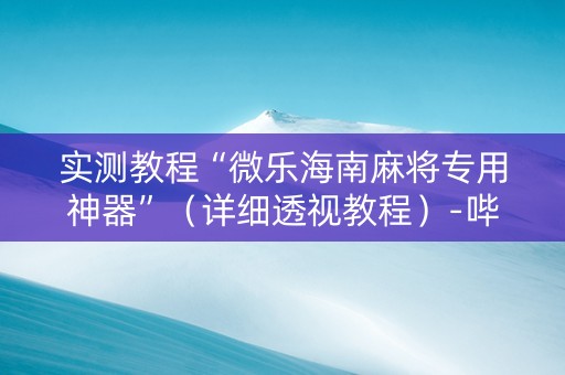 实测教程“微乐海南麻将专用神器”（详细透视教程）-哔哩哔哩