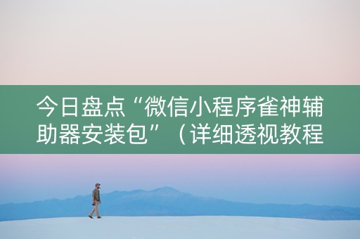 今日盘点“微信小程序雀神辅助器安装包”（详细透视教程）-哔哩哔哩