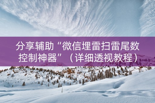 分享辅助“微信埋雷扫雷尾数控制神器”（详细透视教程）-哔哩哔哩