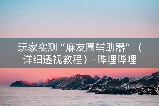 玩家实测“麻友圈辅助器”（详细透视教程）-哔哩哔哩