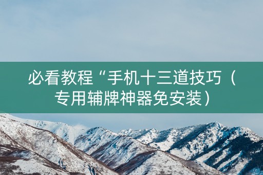 必看教程“手机十三道技巧（专用辅牌神器免安装）