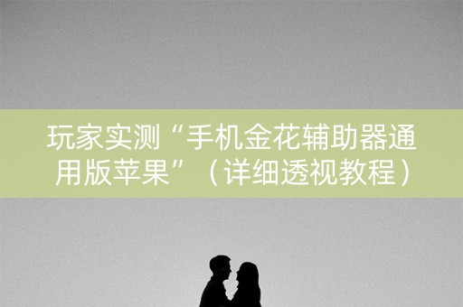 玩家实测“手机金花辅助器通用版苹果”（详细透视教程）-哔哩哔哩