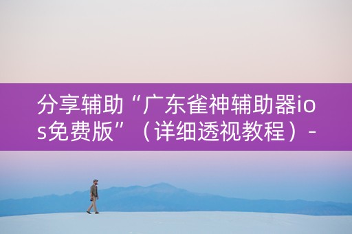 分享辅助“广东雀神辅助器ios免费版”（详细透视教程）-哔哩哔哩