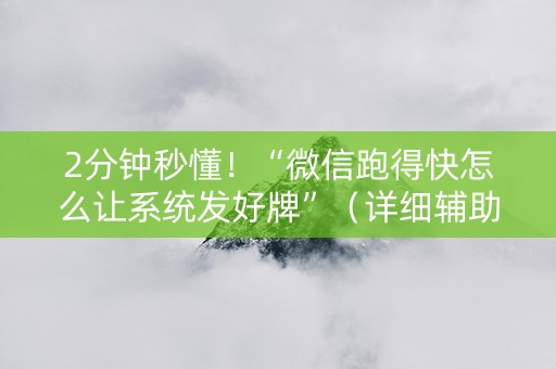 2分钟秒懂！“微信跑得快怎么让系统发好牌”（详细辅助教程）-哔哩哔哩