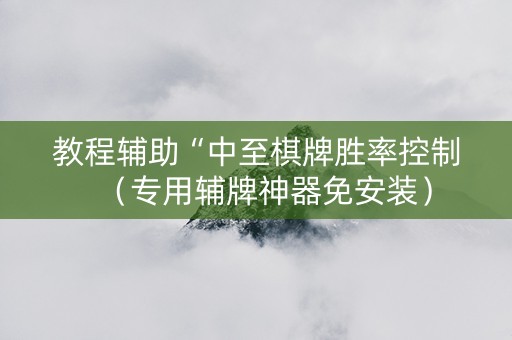 教程辅助“中至棋牌胜率控制（专用辅牌神器免安装）