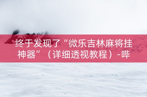 终于发现了“微乐吉林麻将挂神器”（详细透视教程）-哔哩哔哩