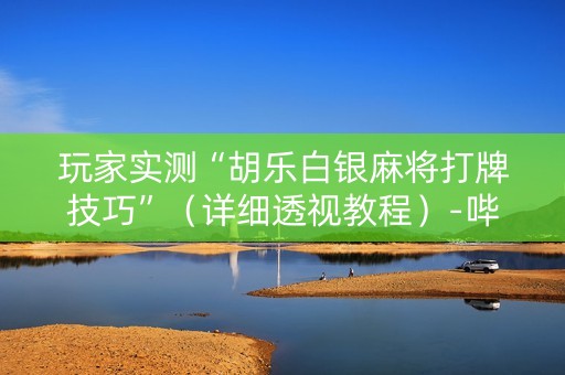 玩家实测“胡乐白银麻将打牌技巧”（详细透视教程）-哔哩哔哩