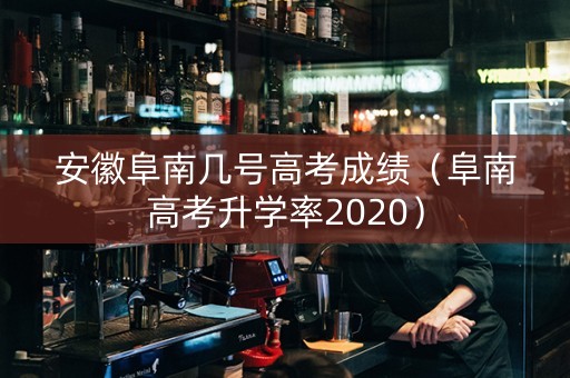 安徽阜南几号高考成绩（阜南高考升学率2020）
